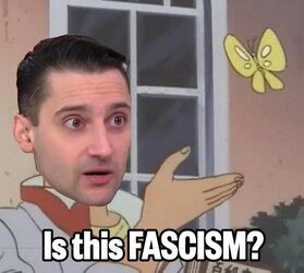 butterflycollins.jpg