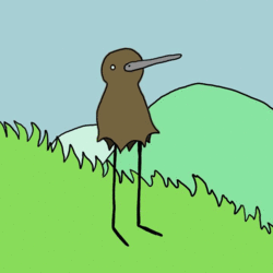 kiwi.gif