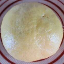 Culurgiones dough ball(day 2).jpg