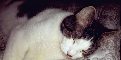 20190925_185813.jpg