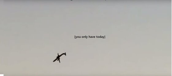 sky king flip.jpg