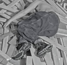 rip tj.jpg