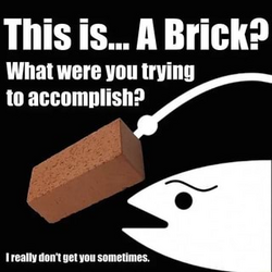 1705977713410.png