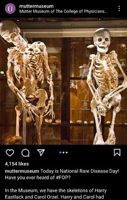 Screenshot_20240123_021850_Instagram.jpg