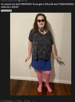 Screenshot 2024-01-24 at 01-08-45 r_transplace - im wearin my skirt PROPERLY & ive got a COLLA...png