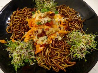 mealoftheday.jpg