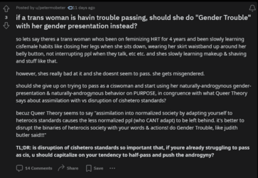 Screenshot 2024-01-24 at 12-03-00 r_QueerTheory - if a trans woman is havin trouble passing sh...png