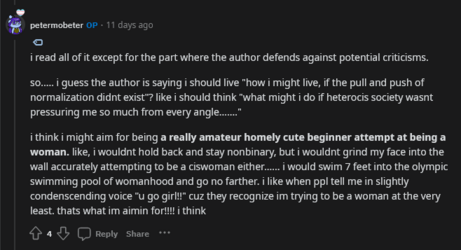 Screenshot 2024-01-24 at 12-16-21 r_QueerTheory - if a trans woman is havin trouble passing sh...png