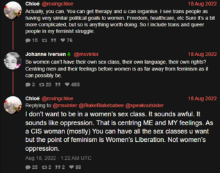 shitlib feminist 4.PNG