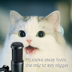 12680195.31_image.png