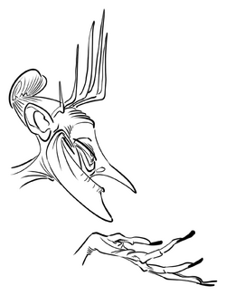 006.png
