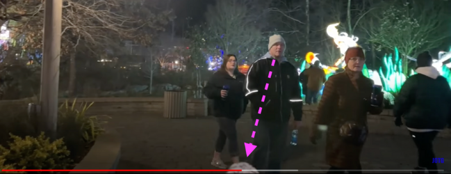 1706188878466.png