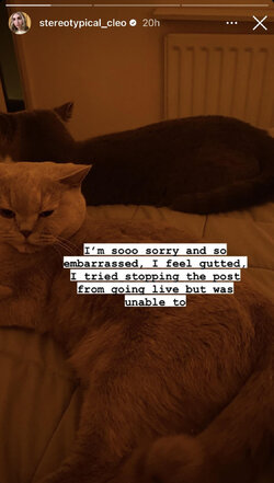 IMG_7078.jpeg