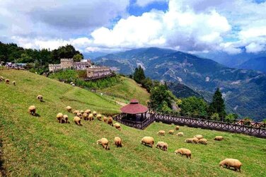 taiwan-farm-stays-qingjing-farm-3.jpg