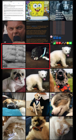 1706286863436.png