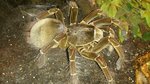 DSC_0001_1.JPG