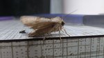 DSC_0248.JPG