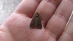 DSC_0249.JPG