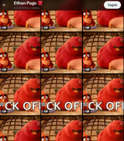 1706403661605.png