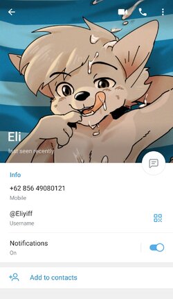 Screenshot_20240127_212130_Telegram.jpg