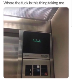 o9igf3hy1cn31.png
