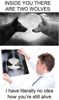 sgrtsw52vkr31.png