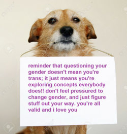 nnc33uxmcw271.png