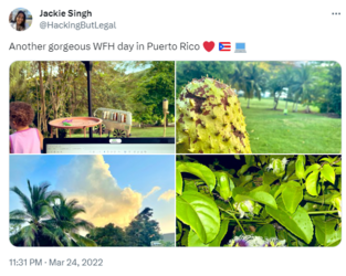 1706442182100.png