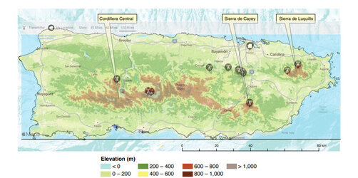 Topography_of_the_Commonwealth_of_Puerto_Rico_by_USDA.jpg