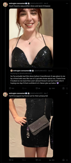 dress.png