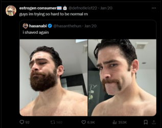 hasaewww.png