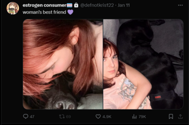 nooooo.png