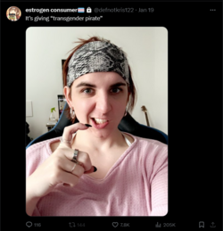tpirate.png