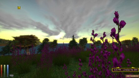 flowers.jpg