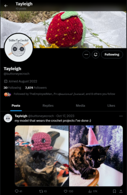 screenshot-twitter.com-2024.01.28-20_41_47.png