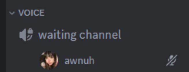 PVHrrSR.jpeg