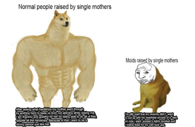 1706743832648.png