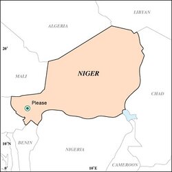 niger please.jpg