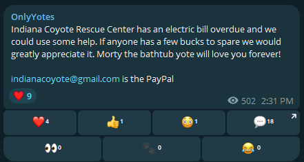 morty ICRC-2.png