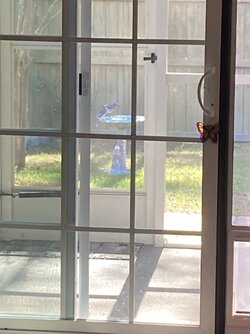 IMG_5662.jpeg