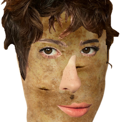 anisatato.png