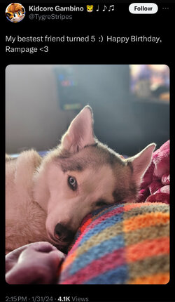 IMG_1669.jpeg