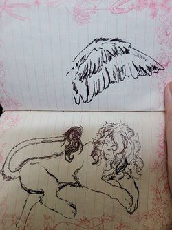 20240201_132157.jpg