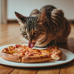 image_fx_cat_eating_a_pizza__indoors(1).jpg