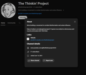 The Thinkin' Project youtube.PNG The Thinkin' Project youtube.PNG