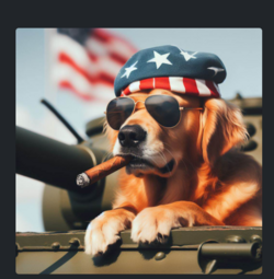 aaaaaa.png