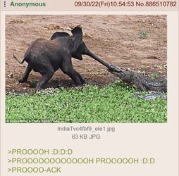 93BC9B11-8865-4ECE-BEF1-F35E2616118B.jpeg