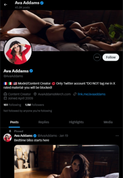 The Thinkin' twitter only follows only fans whore.PNG