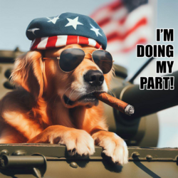 patriotdog.png