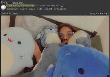 blahajparty02.jpg